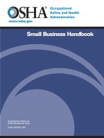 Small Business Handbook - Small Business Safety and Health Management Series pdf