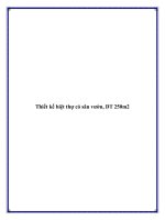Thiết kế biệt thự có sân vườn, DT 250m2 pdf