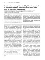 Báo cáo Y học: An alternative model for photosystem II/light harvesting complex II in grana membranes based on cryo-electron microscopy studies pptx