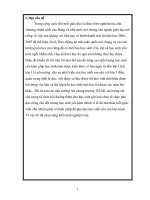 sang kien kinh nghiem