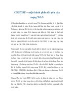 CSU/DSU – một thành phần tất yếu của mạng WAN doc