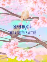 TIẾT 8: NHIỄM SẮC THỂ pot