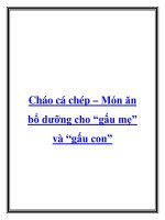 Cháo cá chép – Món ăn bổ dưỡng cho “gấu mẹ” và “gấu con” doc