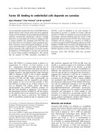 Báo cáo khoa học: Factor XII binding to endothelial cells depends on caveolae ppt