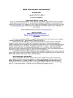 What’s wrong with outsourcing? potx