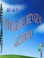 Điều hòa biểu hiện gen Lac Operon docx