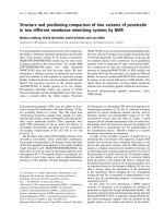 Báo cáo khoa học: Structure and positioning comparison of two variants of penetratin in two different membrane mimicking systems by NMR pdf