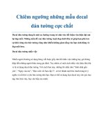 Chiêm ngưỡng những mẫu decal dán tường cực chất docx