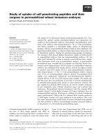 Báo cáo khoa học: Study of uptake of cell penetrating peptides and their cargoes in permeabilized wheat immature embryos pot