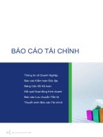 báo cáo tài chính thường niên công ty cổ phần sữa việt nam vinamilk năm 2007