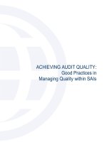 ACHIEVING AUDIT QUALITY: Good Practices in Managing Quality within SAIs pptx