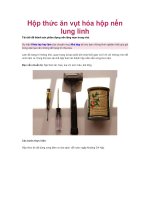 Hộp thức ăn vụt hóa hộp nến lung linh potx