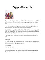 Ngọn đèn xanh pot