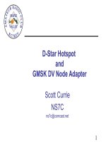 D star hotspot and GMSK DV node adapter