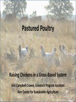 Pastured Poultry Raising Chickens in a Grass-Based System docx