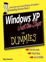 windows xp just the steps for dummies