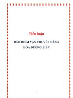 Tiểu luận: BẢO HIỂM VẬN CHUYỂN HÀNG HÓA ĐƯỜNG BIỂN potx