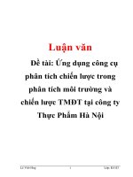 Đề tài: Ứng dụng công cụ phân tích chiến lược trong phân tích môi trường và chiến lược TMÐT tại công ty Thực Phẩm Hà Nội potx