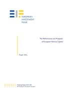The Performance and Prospects of European Venture Capital pptx
