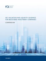 Sec valuation and liquidity guidance for registered investment companies pdf