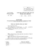 MẪU QUYẾT ĐỊNH Về việc thu hồi chứng chỉ hành nghề dịch vụ làm thủ tục về thuế pptx