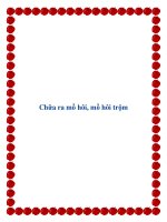 Chữa ra mồ hôi, mồ hôi trộm doc