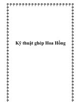 Kỹ thuật ghép Hoa Hồng ppt