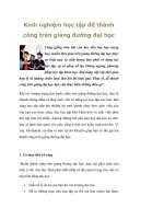 Kinh nghiệm học tập để thành công trên giảng đường đại học pptx