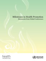 Milestones in Health Promotion Statements from Global Conferences docx