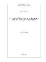 luận vănchế tạo và ứng dụng ống nanô các bon trên mũi nhọn kim loại wônfram