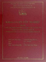 khóa luận tốt nghiệp chiến lược kinh doanh của các công ty du lịch việt nam trong quá trình hội nhập quốc tế. trường hợp công ty