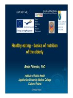Healthy eating – basics of nutrition of the elderly ppt