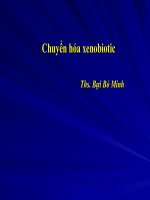 Chuyển hóa xenobiotic pptx