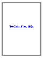 Tổ Chức Thực Hiện potx