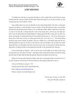 Giáo trình FIC pptx