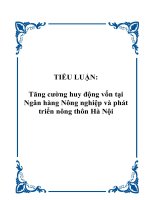 TIỂU LUẬN: Tăng cường huy động vốn tại Ngân hàng Nông nghiệp và phát triển nông thôn Hà Nội pot