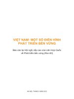 VIỆT NAM: MỘT SỐ ĐIỂN HÌNH PHÁT TRIỂN BỀN VỮNG ppt
