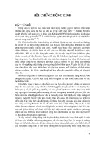 Hội chứng động kinh ppt