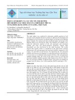 PHÂN CẤP ĐỘ BỀN VÀ CÁC YẾU TỐ ẢNH HƯỞNG ĐẾN ĐỘ BỀN CẤU TRÚC ĐẤT CỦA NHÓM ĐẤT PHÙ SA VÙNG ĐỒNG BẰNG SÔNG CỬU LONG, VIỆT NAM doc