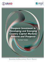 DIASPORA INVESTMENT IN DEVELOPING AND EMERGING COUNTRY CAPITAL MARKETS: PATTERNS AND PROSPECTS pot