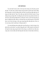 CẢI CÁCH CHÍNH SÁCH THUẾ Ở VIỆT NAM