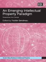 An Emerging Intellectual Property Paradigm docx