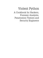 Violent python