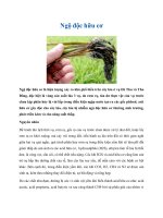 Cách phòng và điều trị bệnh phân trắng cho tôm potx