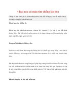 4 loại rau củ màu tím chống lão hóa pdf