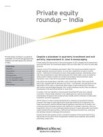 Private equity roundup — India pdf