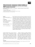 Báo cáo khoa học: Alpha-fetoprotein antagonizes X-linked inhibitor of apoptosis protein anticaspase activity and disrupts XIAP–caspase interaction ppt