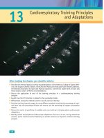 Exercise Physiology: For Health, Fitness, and Performance_2 pdf