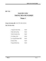 ĐỀ TÀI: NGUỒN VỐN TRONG DOANH NGHIỆP pot