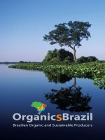 BRAZILIAN ORGANIC AND SUSTAINABLE PRODUCERS potx